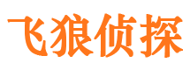 滨海新区市婚外情调查